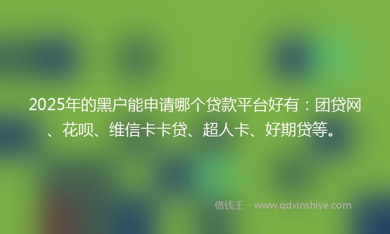2025年的黑户能申请哪个贷款平台好有：团贷网、花呗、维信卡卡贷、超人卡、好期贷等。