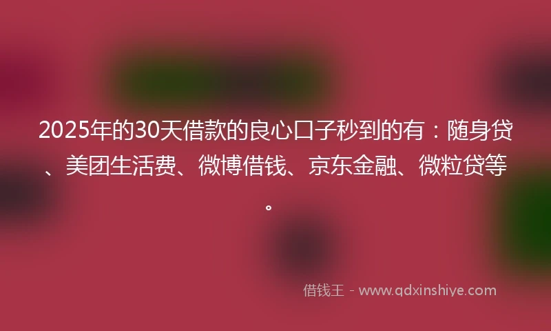 2025年的30天借款的良心口子秒到的有：随身贷、美团生活费、微博借钱、京东金融、微粒贷等。