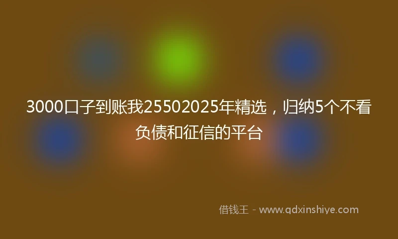3000口子到账我25502025年精选，归纳5个不看负债和征信的平台