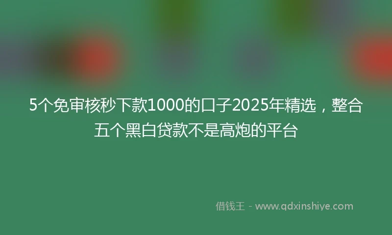 5个免审核秒下款1000的口子2025年精选，整合五个黑白贷款不是高炮的平台