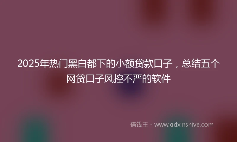 2025年热门黑白都下的小额贷款口子，总结五个网贷口子风控不严的软件