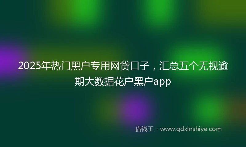 2025年热门黑户专用网贷口子，汇总五个无视逾期大数据花户黑户app