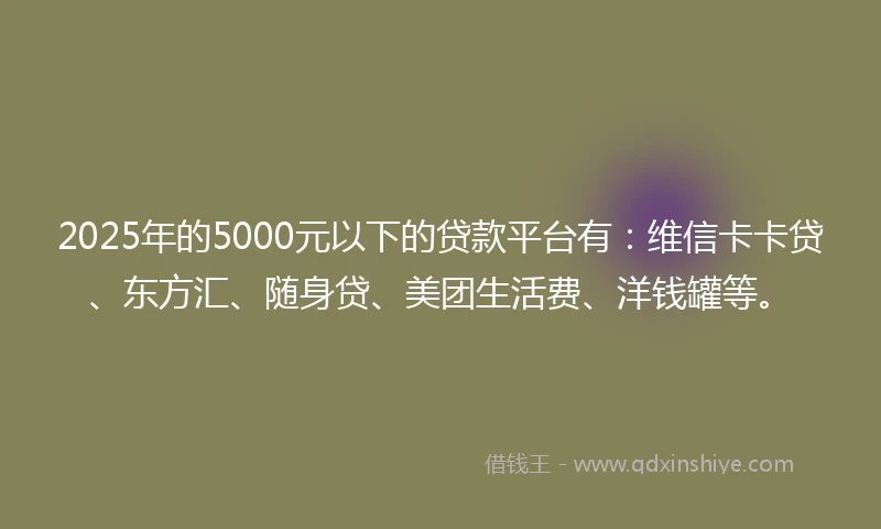2025年的5000元以下的贷款平台有：维信卡卡贷、东方汇、随身贷、美团生活费、洋钱罐等。