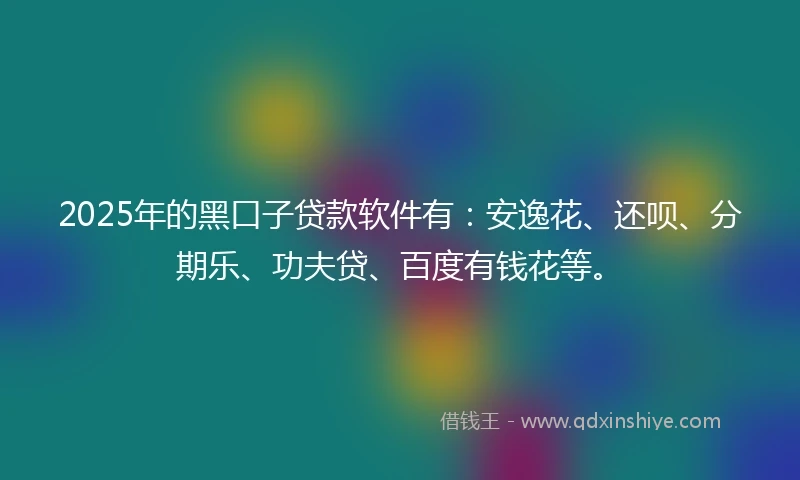 2025年的黑口子贷款软件有:安逸花、还呗、分期乐、功夫贷、百度有钱花等。
