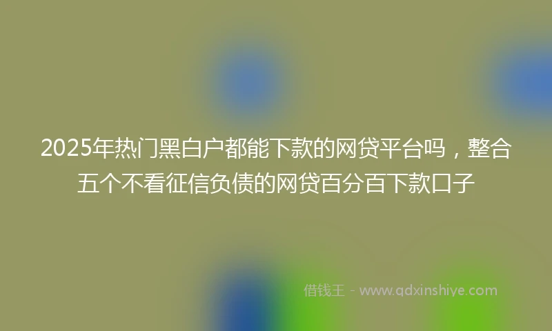2025年热门黑白户都能下款的网贷平台吗，整合五个不看征信负债的网贷百分百下款口子