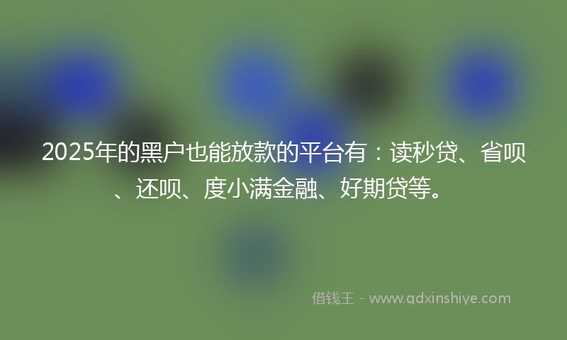 2025年的黑户也能放款的平台有：读秒贷、省呗、还呗、度小满金融、好期贷等。