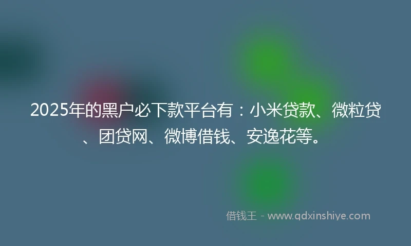 2025年的黑户必下款平台有：小米贷款、微粒贷、团贷网、微博借钱、安逸花等。