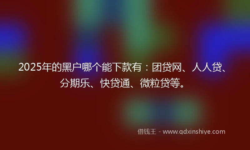2025年的黑户哪个能下款有：团贷网、人人贷、分期乐、快贷通、微粒贷等。