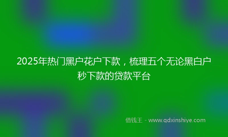 2025年热门黑户花户下款，梳理五个无论黑白户秒下款的贷款平台