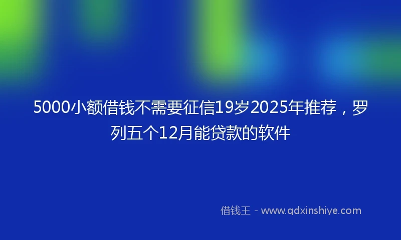 5000小额借钱不需要征信19岁2025年推荐，罗列五个12月能贷款的软件