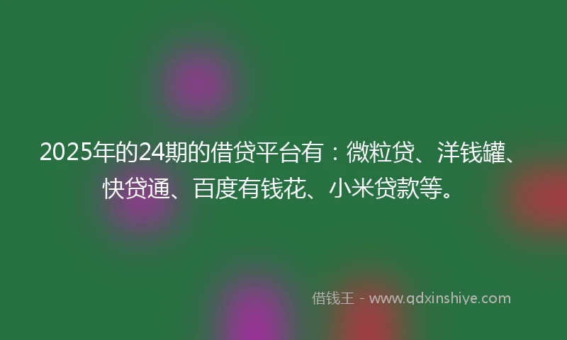 2025年的24期的借贷平台有：微粒贷、洋钱罐、快贷通、百度有钱花、小米贷款等。