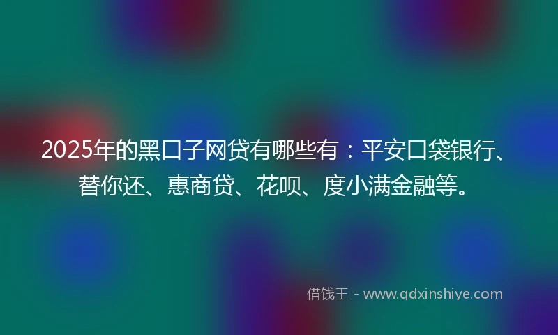 2025年的黑口子网贷有哪些有：平安口袋银行、替你还、惠商贷、花呗、度小满金融等。