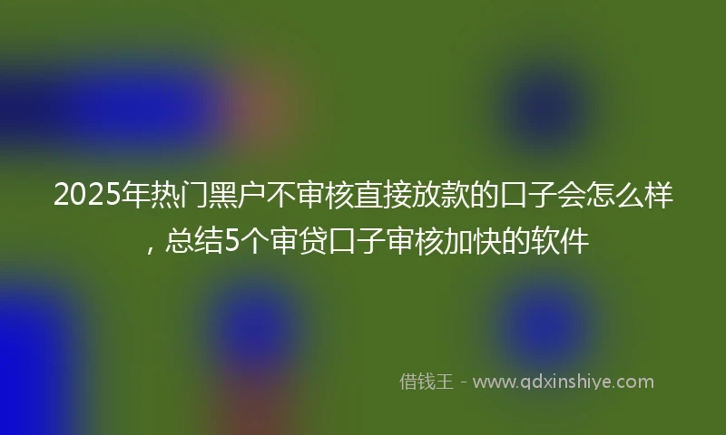 2025年热门黑户不审核直接放款的口子会怎么样，总结5个审贷口子审核加快的软件
