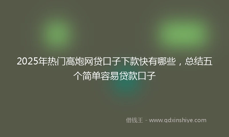 2025年热门高炮网贷口子下款快有哪些，总结五个简单容易贷款口子
