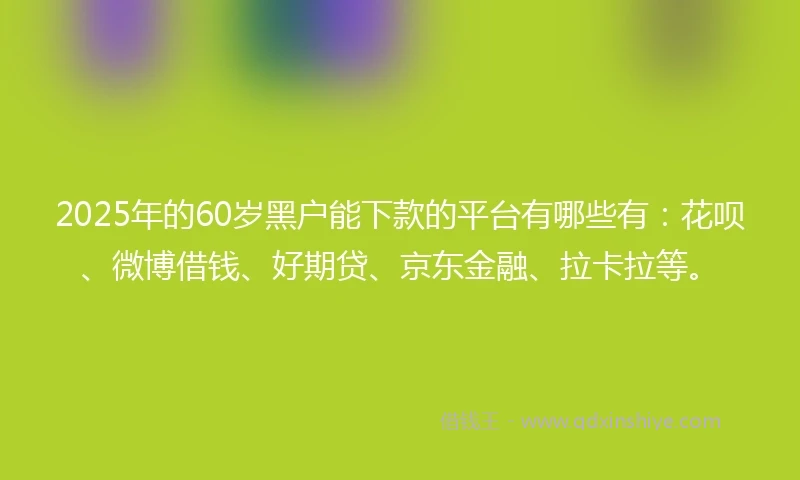 2025年的60岁黑户能下款的平台有哪些有：花呗、微博借钱、好期贷、京东金融、拉卡拉等。