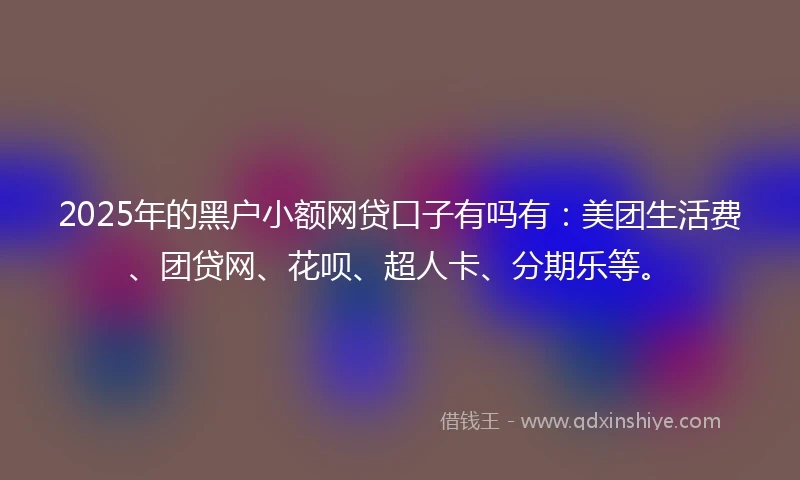 2025年的黑户小额网贷口子有吗有：美团生活费、团贷网、花呗、超人卡、分期乐等。
