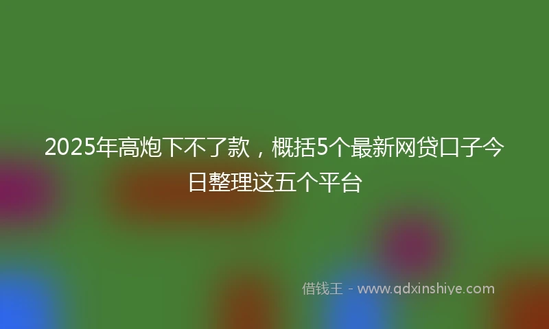 2025年高炮下不了款，概括5个最新网贷口子今日整理这五个平台