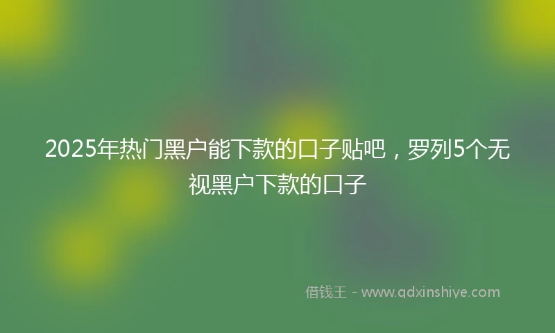 2025年热门黑户能下款的口子贴吧，罗列5个无视黑户下款的口子