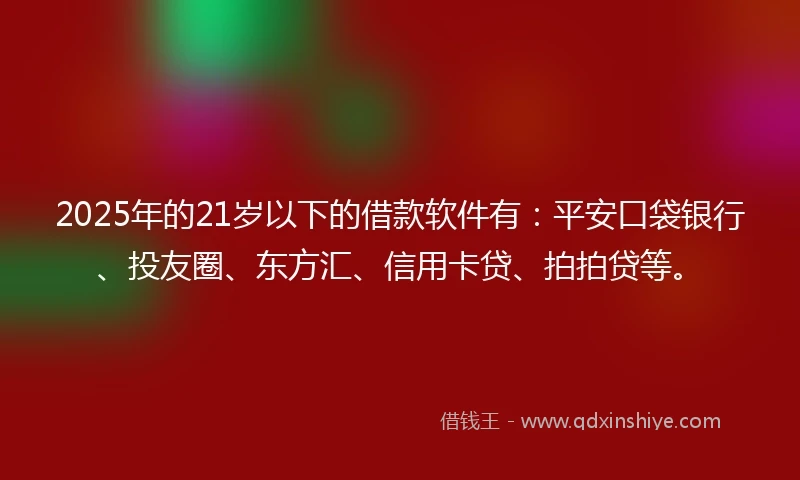2025年的21岁以下的借款软件有：平安口袋银行、投友圈、东方汇、信用卡贷、拍拍贷等。