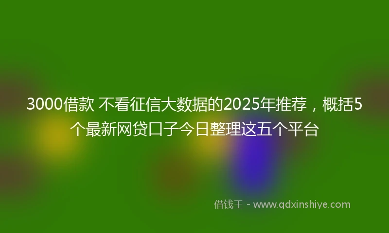 3000借款 不看征信大数据的2025年推荐，概括5个最新网贷口子今日整理这五个平台