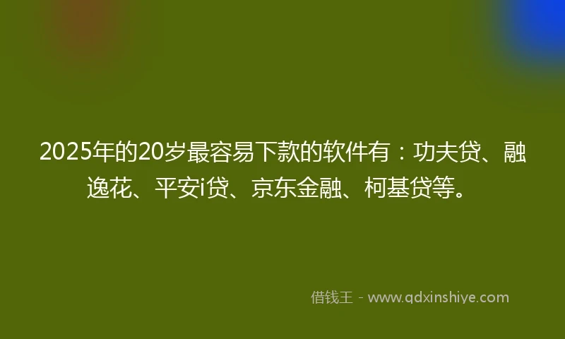 2025年的20岁最容易下款的软件有：功夫贷、融逸花、平安i贷、京东金融、柯基贷等。