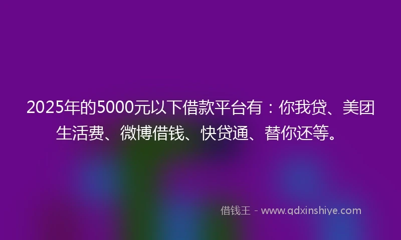 2025年的5000元以下借款平台有：你我贷、美团生活费、微博借钱、快贷通、替你还等。