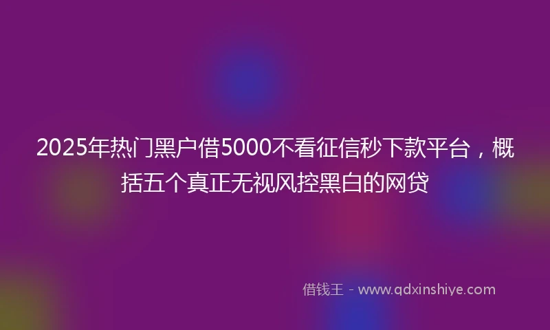 2025年热门黑户借5000不看征信秒下款平台，概括五个真正无视风控黑白的网贷