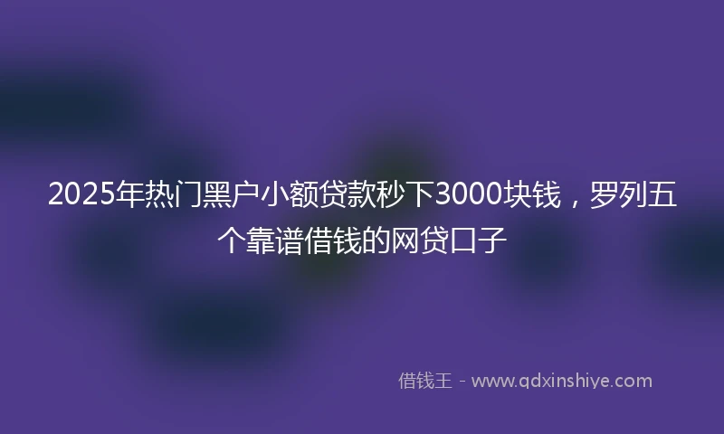 2025年热门黑户小额贷款秒下3000块钱，罗列五个靠谱借钱的网贷口子