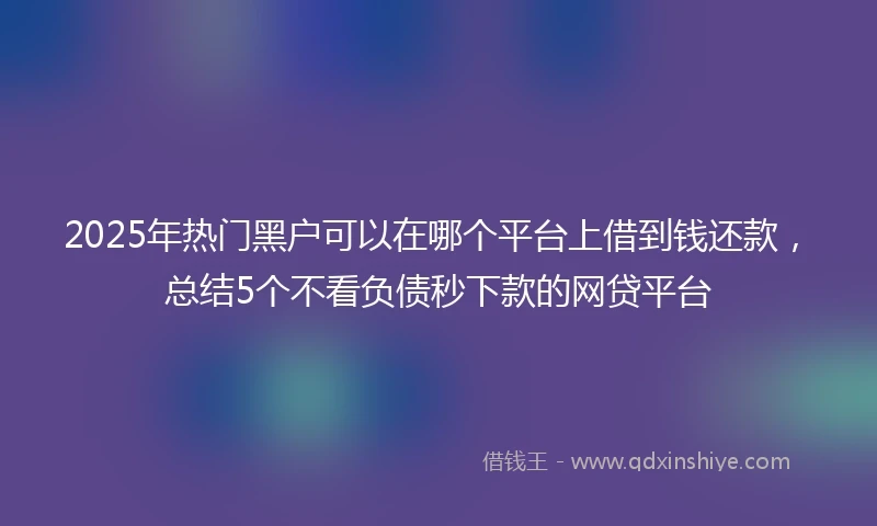 2025年热门黑户可以在哪个平台上借到钱还款，总结5个不看负债秒下款的网贷平台