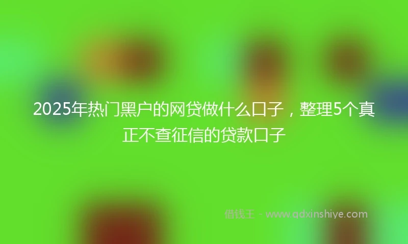 2025年热门黑户的网贷做什么口子，整理5个真正不查征信的贷款口子