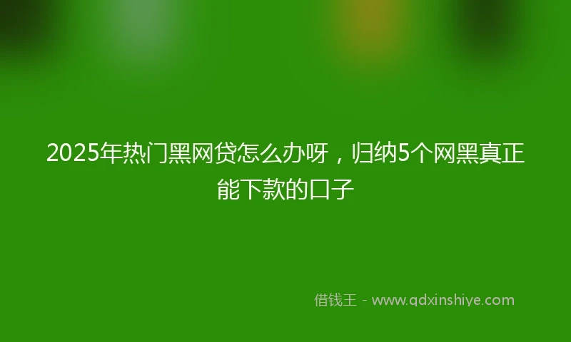 2025年热门黑网贷怎么办呀，归纳5个网黑真正能下款的口子