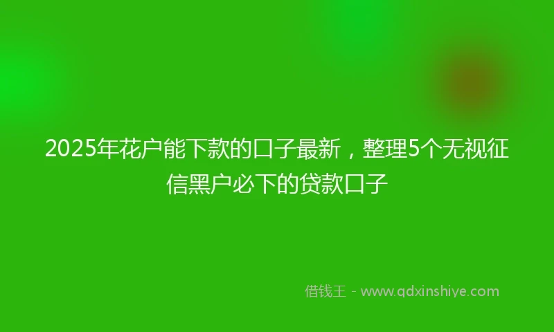 2025年花户能下款的口子最新，整理5个无视征信黑户必下的贷款口子