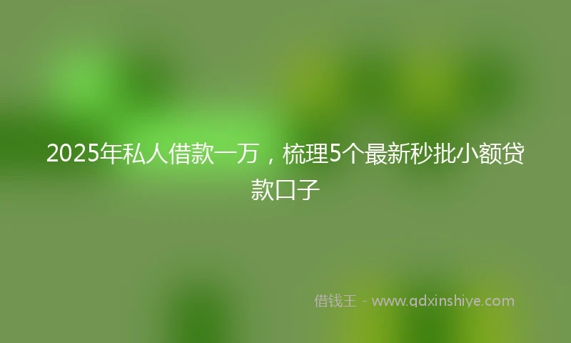 2025年私人借款一万，梳理5个最新秒批小额贷款口子