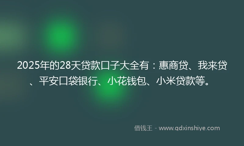 2025年的28天贷款口子大全有：惠商贷、我来贷、平安口袋银行、小花钱包、小米贷款等。