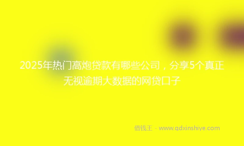 2025年热门高炮贷款有哪些公司，分享5个真正无视逾期大数据的网贷口子