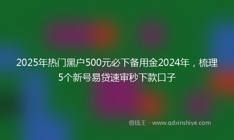 2025年热门黑户500元必下备用金2024年，梳理5个新号易贷速审秒下款口子
