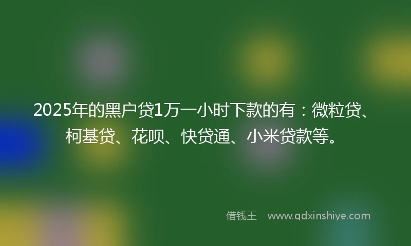 2025年的黑户贷1万一小时下款的有：微粒贷、柯基贷、花呗、快贷通、小米贷款等。