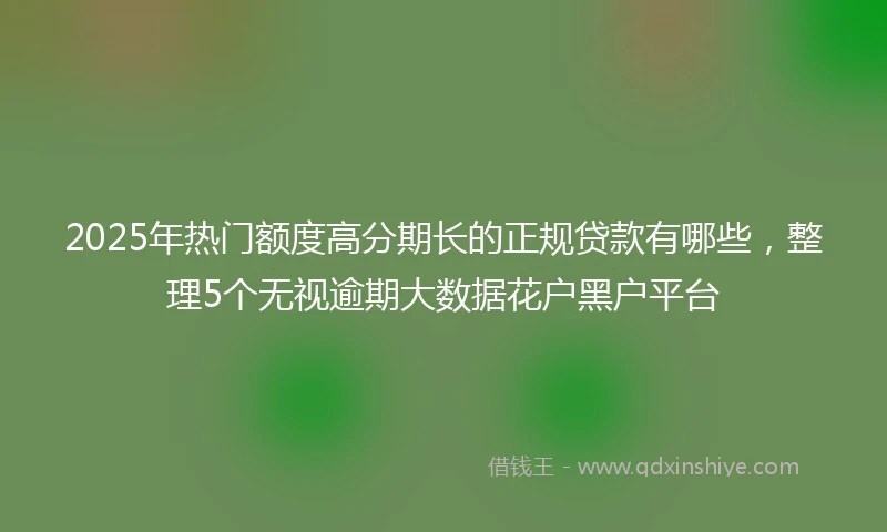 2025年热门额度高分期长的正规贷款有哪些，整理5个无视逾期大数据花户黑户平台