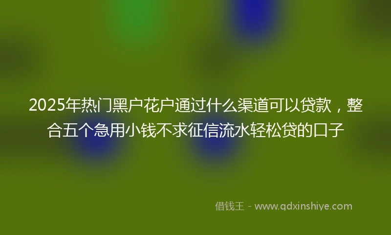2025年热门黑户花户通过什么渠道可以贷款，整合五个急用小钱不求征信流水轻松贷的口子