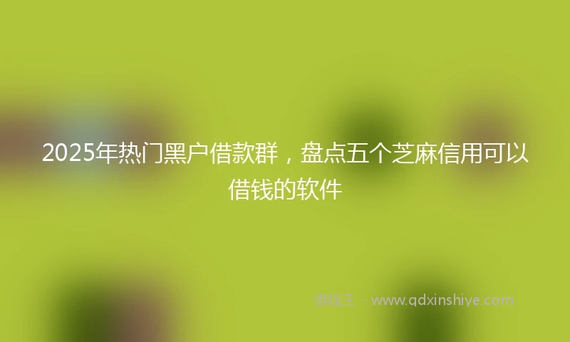 2025年热门黑户借款群，盘点五个芝麻信用可以借钱的软件