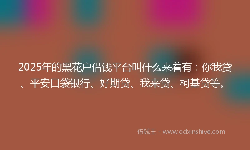 2025年的黑花户借钱平台叫什么来着有：你我贷、平安口袋银行、好期贷、我来贷、柯基贷等。