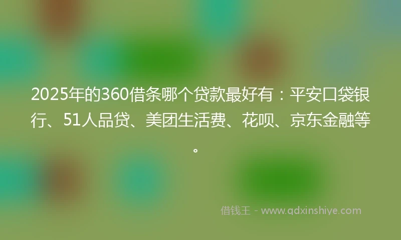 2025年的360借条哪个贷款最好有：平安口袋银行、51人品贷、美团生活费、花呗、京东金融等。
