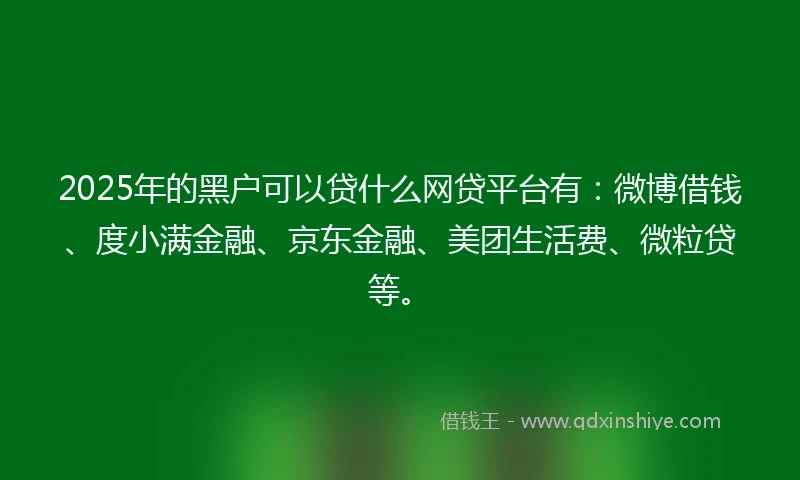 2025年的黑户可以贷什么网贷平台有：微博借钱、度小满金融、京东金融、美团生活费、微粒贷等。