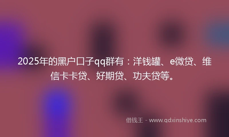 2025年的黑户口子qq群有：洋钱罐、e微贷、维信卡卡贷、好期贷、功夫贷等。