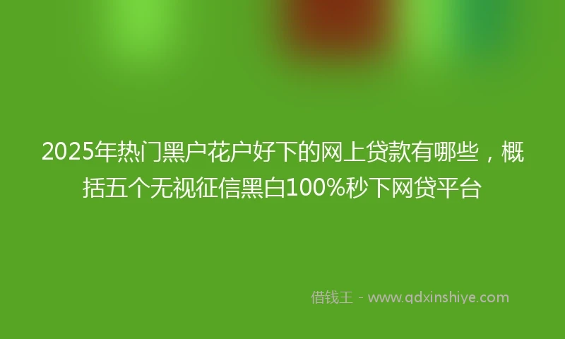 2025年热门黑户花户好下的网上贷款有哪些，概括五个无视征信黑白100%秒下网贷平台