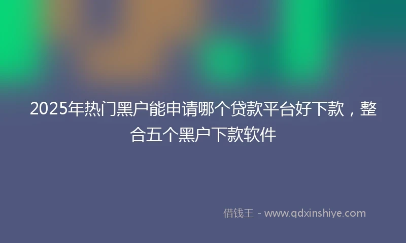 2025年热门黑户能申请哪个贷款平台好下款，整合五个黑户下款软件