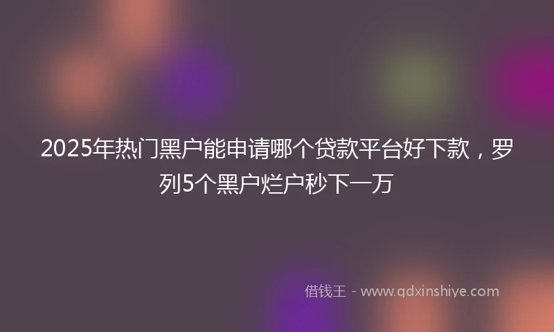 2025年热门黑户能申请哪个贷款平台好下款，罗列5个黑户烂户秒下一万