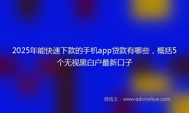 2025年能快速下款的手机app贷款有哪些，概括5个无视黑白户最新口子