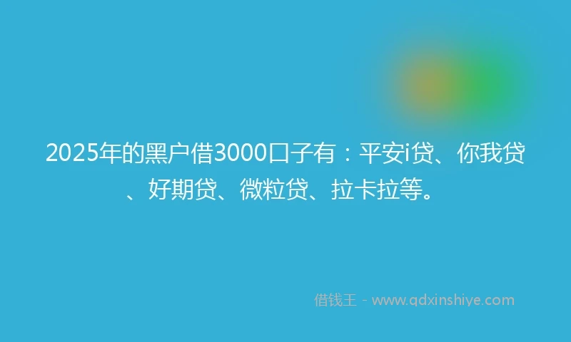 2025年的黑户借3000口子有：平安i贷、你我贷、好期贷、微粒贷、拉卡拉等。