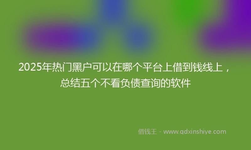 2025年热门黑户可以在哪个平台上借到钱线上，总结五个不看负债查询的软件
